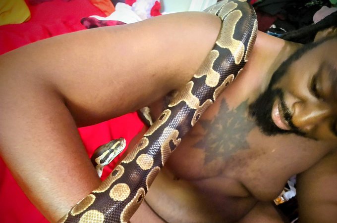 Snake time! It's only my second time holding one. 🐍💪🏿  #snake https://t.co/D7OjvjeCPl<a href="/tag/snake"class="tags"><span>#snake</span></a>