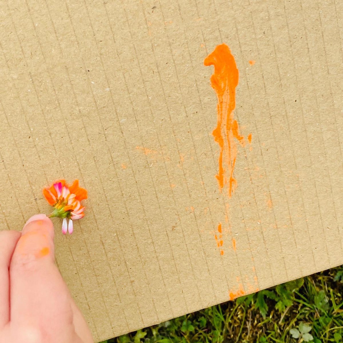 Wee Stems tweet media