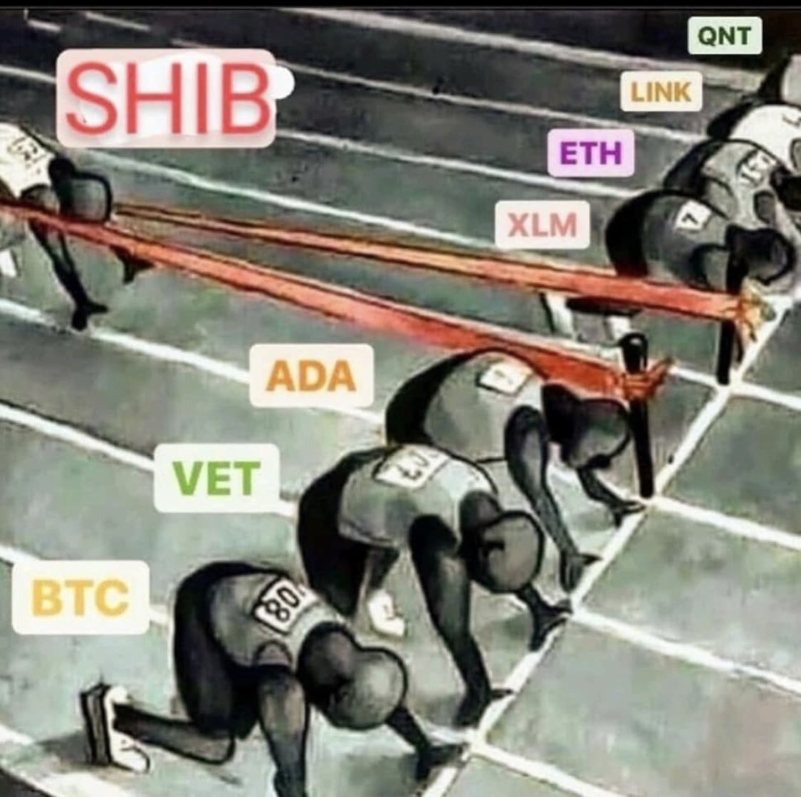 💸 ShibaCoin Movement 💸 tweet media