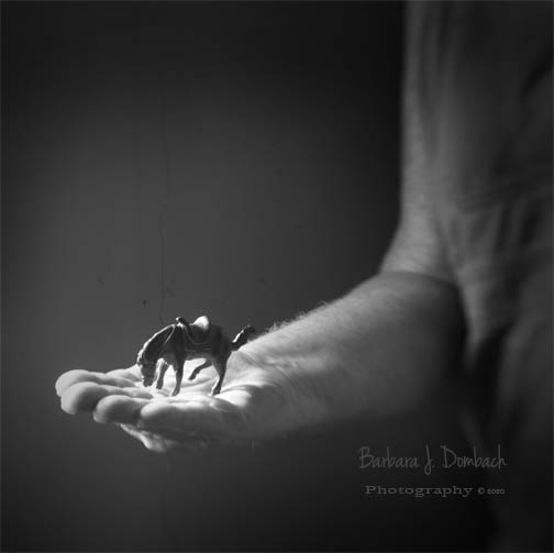 bjdombach's tweet photo. From my project: "Not a Single Dime" (Childhood memories) #memories #childhood #smallhorse https://t.co/zoGr410DWj