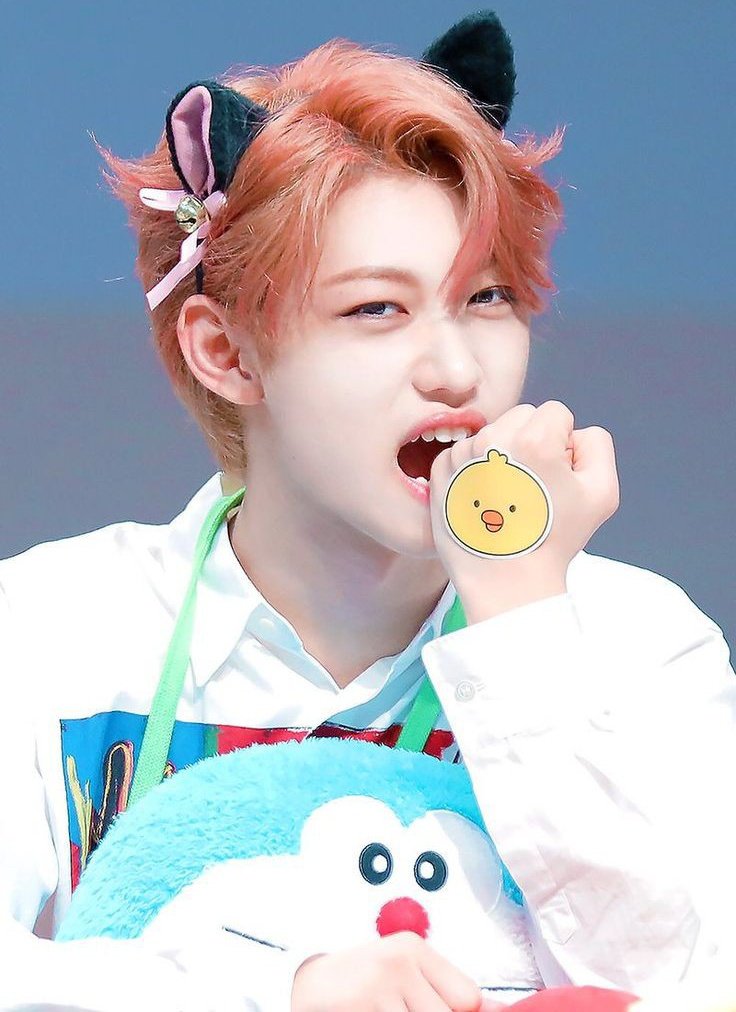 VLIXBLOG's tweet image. catboy pt. 2 🐈 #Felix #필릭스