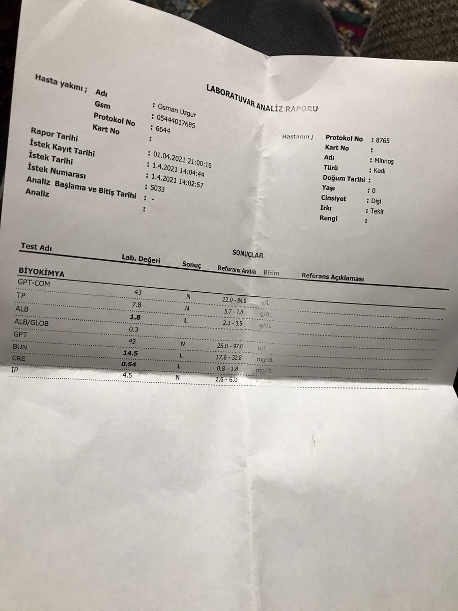 fiplibirminnos1's tweet photo. Hesap askıya alındığından dolayı bu hesabı açmak zorunda kaldık. Minnoş NÖROLOJİK fip hastası bir çocuk 84 günlük Gs tedavisinin 11. Günündeyiz ilaçlar yurt dışından geliyor tanesi 80 dolar ve bir şişesi ne yazık ki 3 gün gidiyor. Yolumuz uzun bu yolda sizden destek bekliyoruz 🙏 https://t.co/0J1ufw2vyl