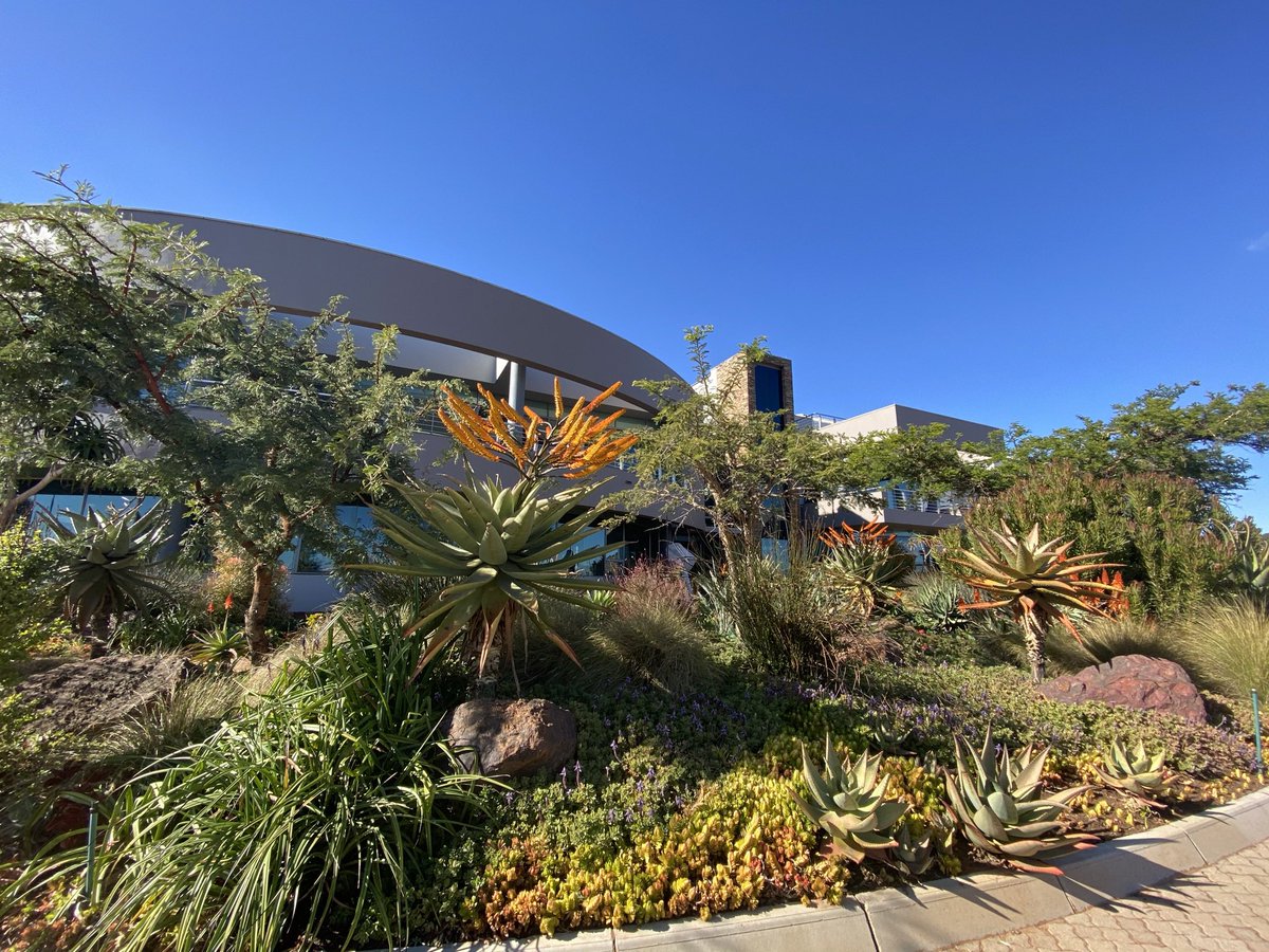 AMAARCHITECTSZA's tweet photo. Overlooking Johannesburg from TSR #IndustrialArchitecture #IndustrialBuildings #Architecture #architecturelovers #RealEstate #AfricanArchitecture #Joburg #Gauteng #Africa #africanexcellence #Engineeringexcellence #Engineeringinnovation https://t.co/FpaJjwiZhy