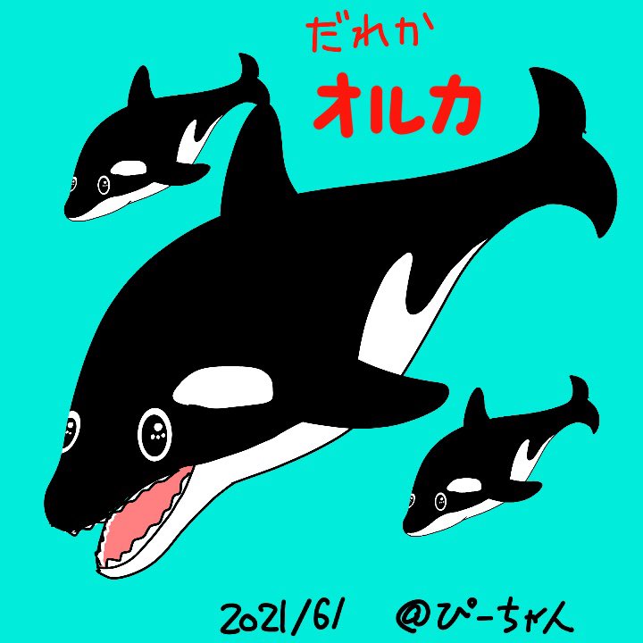 ぴーちゃん おはようございます シャチさんです キャラクター イラスト ゆるキャラ シャチ オルカ Orca T Co Ipvootlxo6 Twitter ぴーちゃん おはようございます シャチさんです キャラクター イラスト ゆるキャラ シャチ オルカ Orca T Co Ipvootlxo6 Twitter