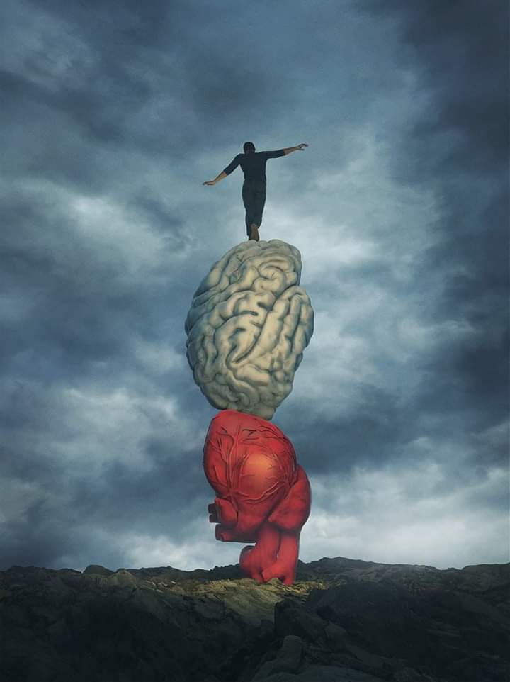 EngineerMinhaj's tweet photo. When you balance your heart and mind equally, then you are the master of yourself. https://t.co/hBCggaib68