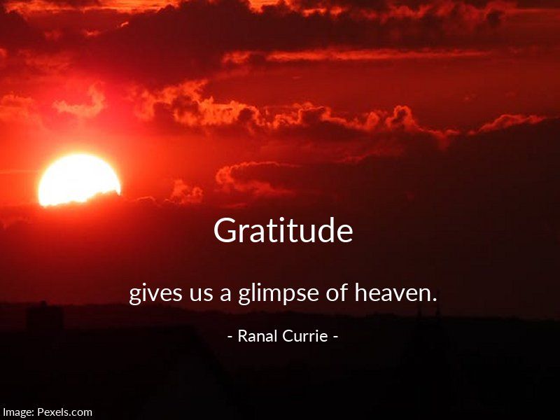 Gratitude gives us a glimpse of heaven.

#quote #gratitude #Heaven #SundaySpirit