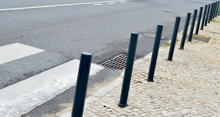 Sofia Afonso Ferreira tweet media