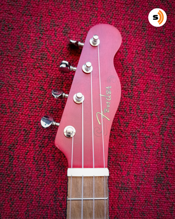 Serenatanet's tweet photo. Neste dia dos namorados surpreenda seu amor com música!!

➡Ukulele Soprano Fender Venice California

Gostou?! 🧡
⠀
🖥 Clique em cima da foto e seja redirecionado para o site!!! https://t.co/aT9rxN9bRQ