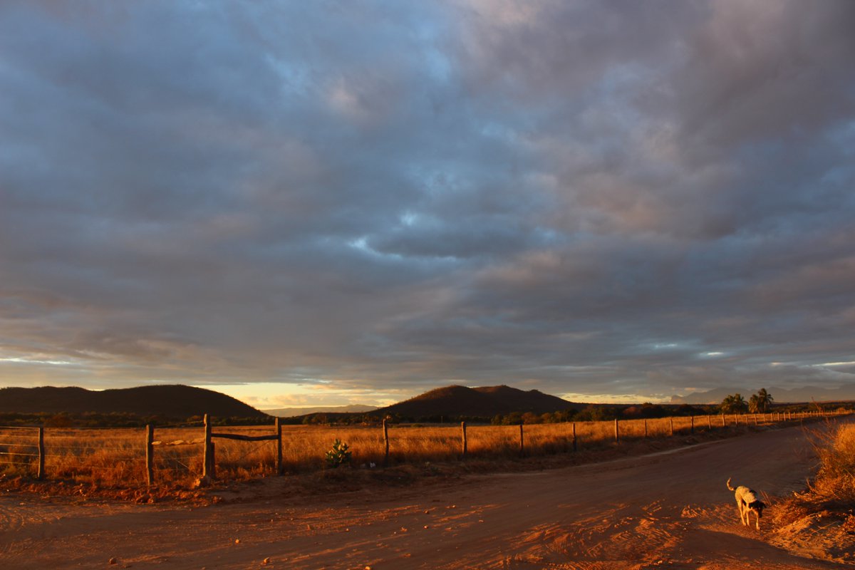 bernardo_scrib's tweet image. #EconPhotographyTwitter This one is from Pai Pedro, a small town in Brazil. It was amazing to stay some days there some years ago.