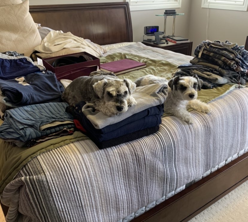 Rodzillaa1's tweet image. Cleaning out the clothes closet today, they said that they would help…