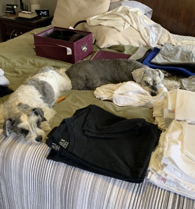 Rodzillaa1's tweet image. Cleaning out the clothes closet today, they said that they would help…