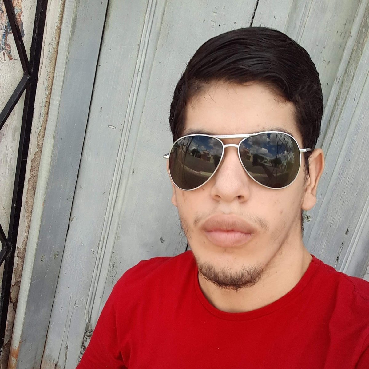 _bieelduarte_ff tweet picture