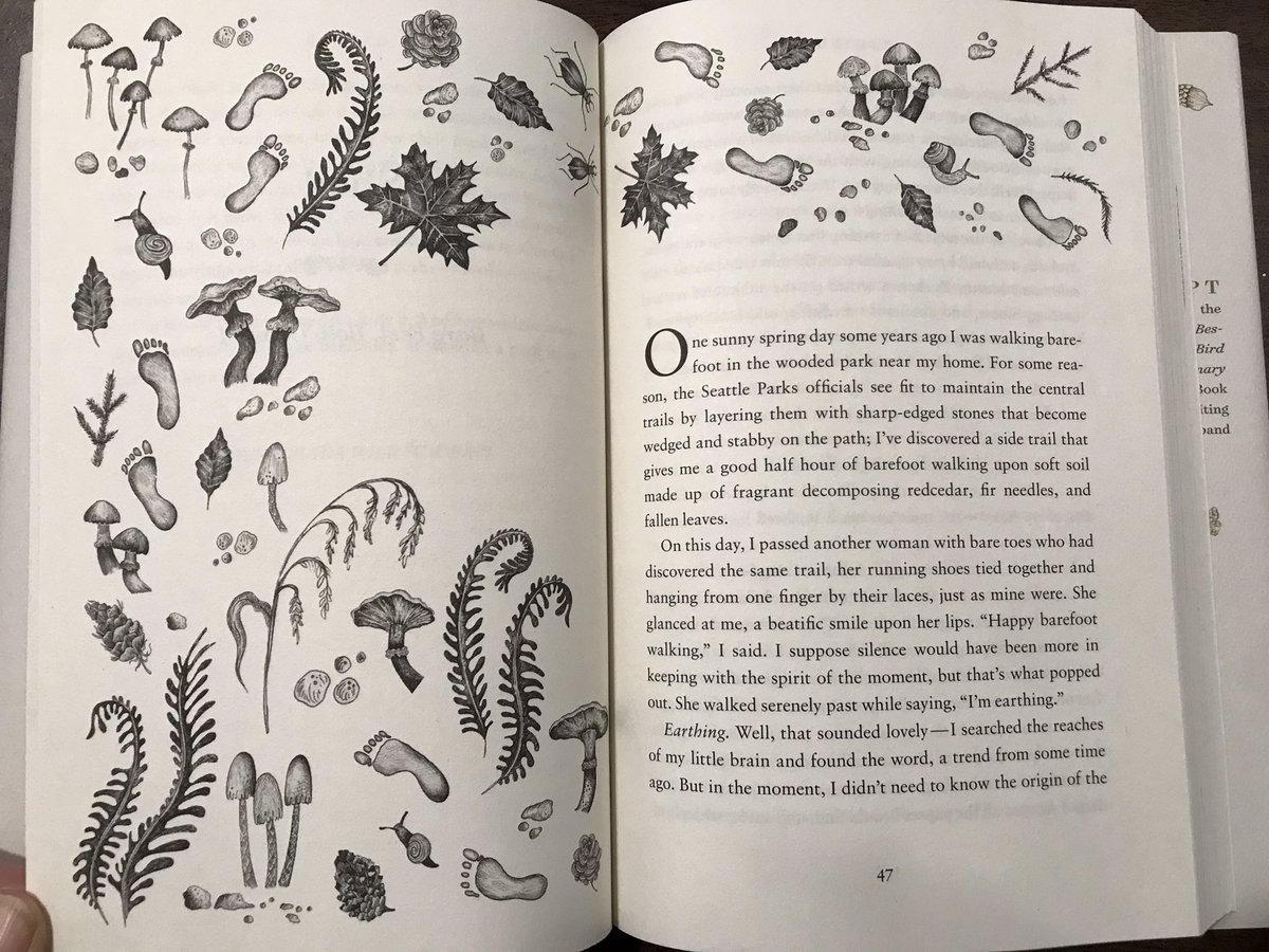 katieholten's tweet photo. @LyandaHaupt @calflyn @bittman @lbsparkbooks @JoyHarjo @wwnorton @JSEllenberg @biblioasis @HMHbooks @VikingBooks Yes! Thank god for indie bookstores. Congrats on ROOTED. Love the illustrations by @_helennicholson. https://t.co/XoaVwTfmqb
