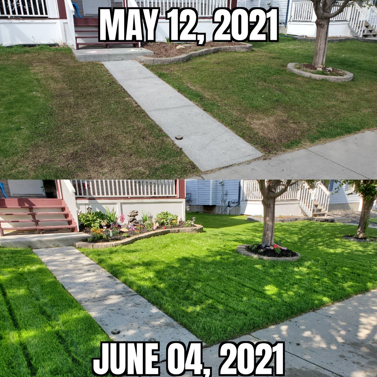 balaneski's tweet photo. People say I ruin everything...everything except lawns.  #Only3Weeks #YEGLawnies https://t.co/yQuHDe6TPB