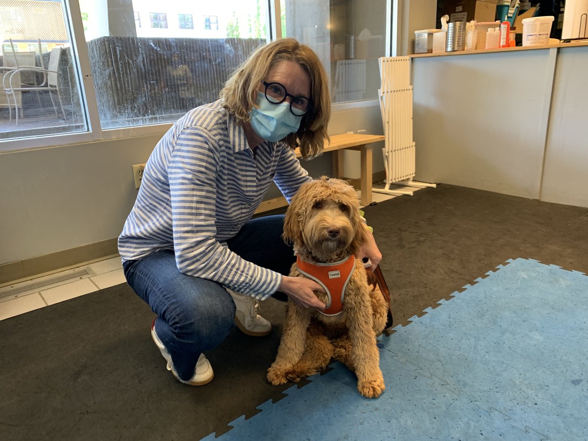 brooksidepet's tweet image. Congrats to Apple Scruffs, the first of our rock themed names to graduate this weekend. He and Cricket are best buds.  (Beatles  trivia anyone? )