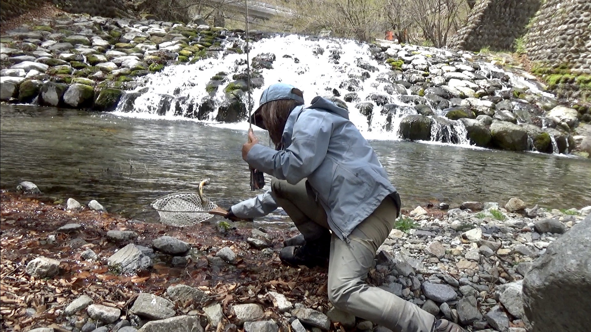 Yasuko Fly Fishing Flyfishing フライフィッシング 渋谷直人 情熱大陸 釣れた ではなく狙って 釣る 明るい時間にドライフライで しかもねらって釣る カッコ良かったですね そこで私も今日の動画はドライフライ でニッコウイワナを釣る動画にしま