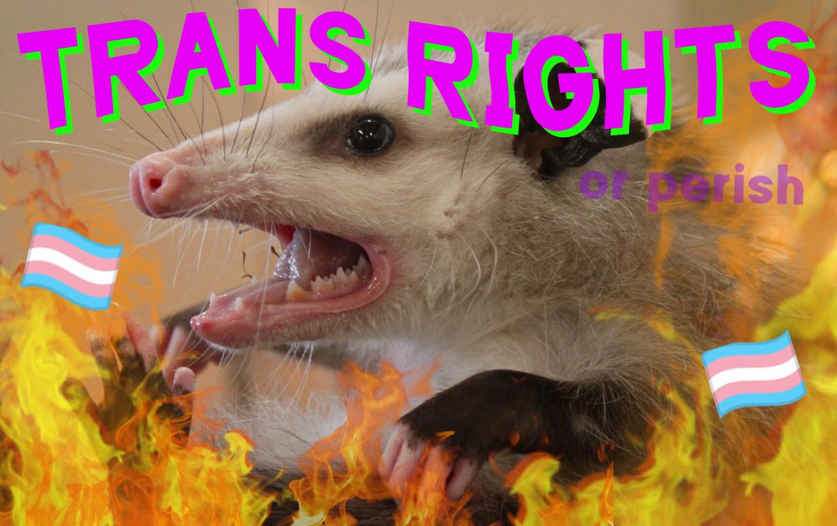 RockyRhoade's tweet photo. Can we have Gay Sloth this year I’m feeling tired https://t.co/lHodHS5RbB