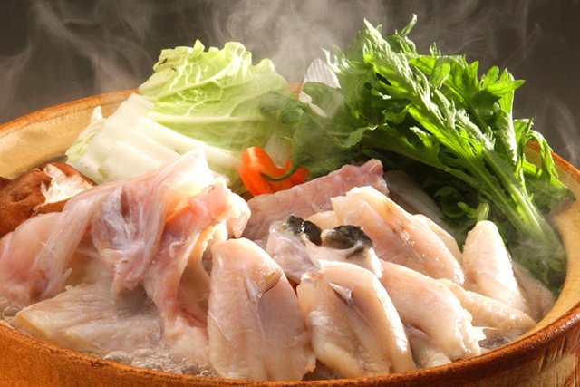 Web_Japan's tweet photo. #Fugu: luxury fish eaten year-round in #Japan. These #PoisonousFish are only served at places with a qualified #FuguHandler in Japan. Discover the good taste and appeal of Japanese fugu managed by the state for safety.
https://t.co/Cm6cejIrtg
#WebJapan #TrendsInJapan #Food https://t.co/Hi1maiykul