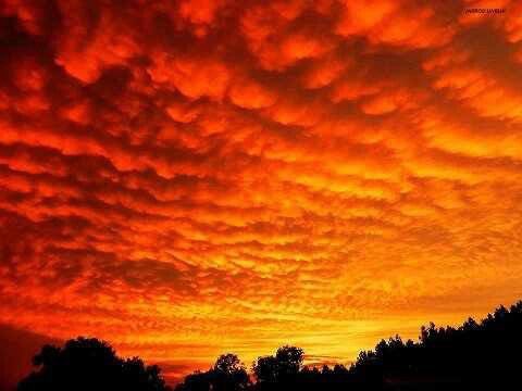 LauraAnnSTL's tweet photo. As #WearOrange comes to a close, I pledge to #HonorWithAction. As a teen I was raped at gun point. One year later my closest friend took his own life with that very same gun. I will always stand with survivors and will fight with everything I have to #EndGunViolence @MomsDemand https://t.co/OPjzMN6eYa