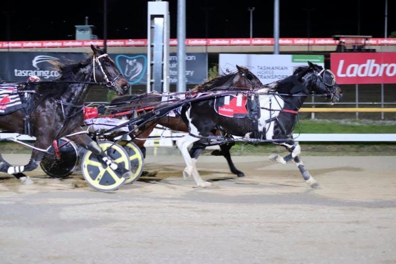 Shandyman was an upset winner in Hobart last night, scoring at $51 as part of a driving treble for Conor Crook.

Read more from <a href="/ddornauf/">Duncan Dornauf</a> - bit.ly/3inaQjC