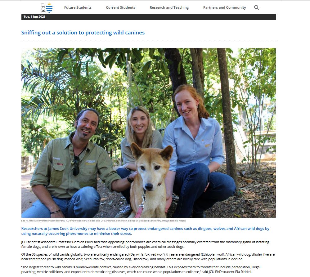PiaRiddell's tweet photo. Sniffing out a solution to protecting wild canines
https://t.co/ODLhfNN3I1
Species-specific appeasing pheromones could be a new natural way to minimise stress in wild canids 
https://t.co/n2WdnQ8gXq
@TheEWT @jcu @GroupIRSEA @IBREAM_tweet @DamienParis_PhD @PaintedDogPDC @PerthZoo https://t.co/s5gXhPRBg8