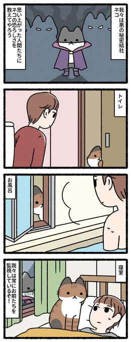 悪の秘密結社ネコ 結社の活動 #悪の秘密結社ネコ 