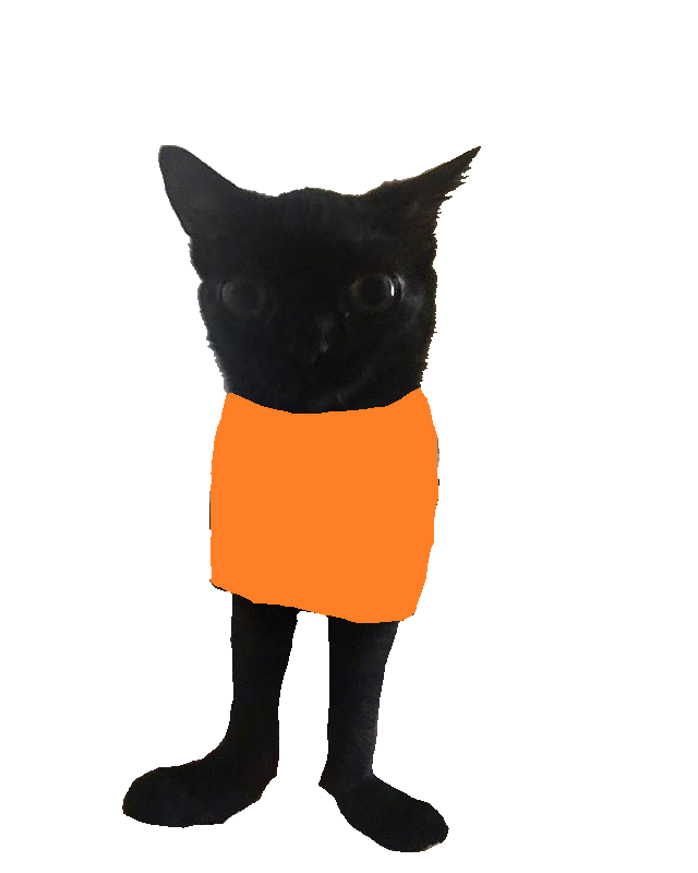 Sinclair tweet media