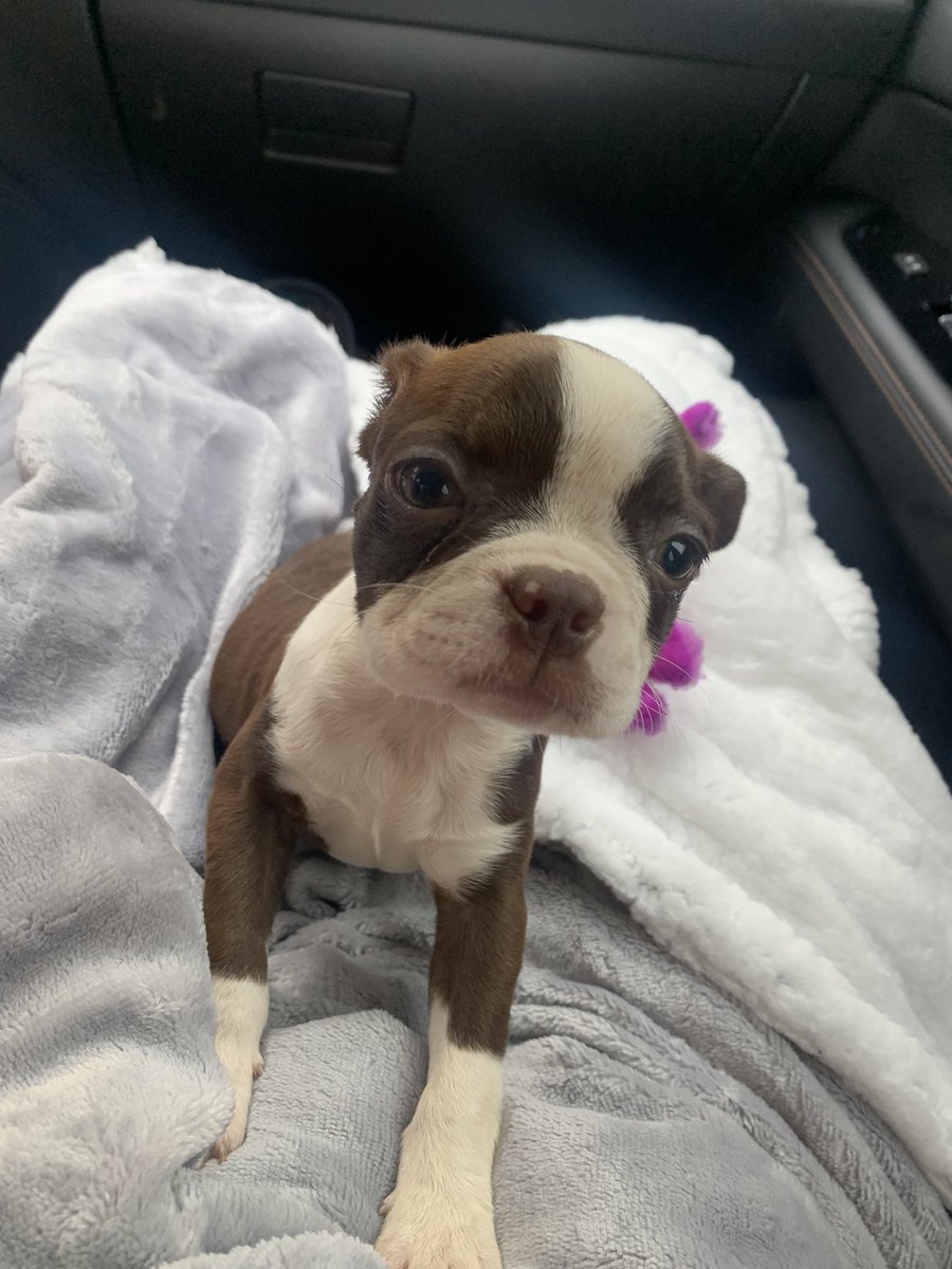 I love my little bobble head 🥺