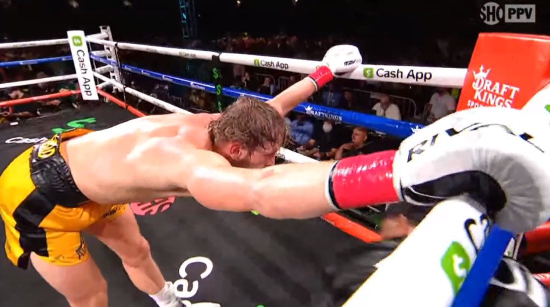 Scarbiee Scarbiee Twitter - logan paul boxing shorts roblox