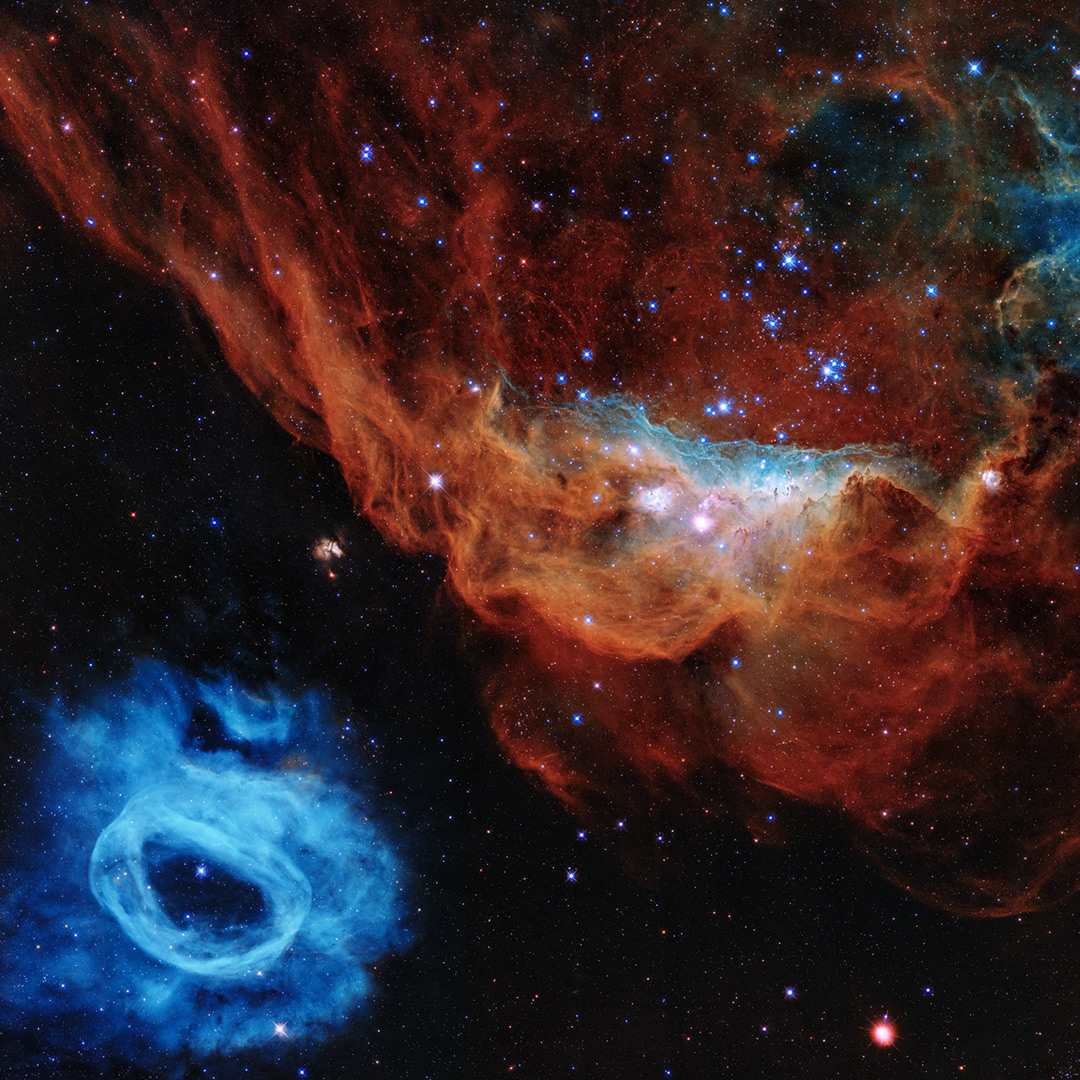 VueltaUniverso's tweet photo. ✨ #MiércolesDeHubble
A la izquierda vemos a #NGC2020 y a la derecha, con tono rojizo, #NGC2014.
Ambas nebulosas son parte de la Gran Nube de Magallanes, un galaxia satélite de la #VíaLáctea, y se ubican a unos 163.000 años luz de #LaTierra.
👉 https://t.co/yxYMJL1kCC https://t.co/Zqd0R6Z0At