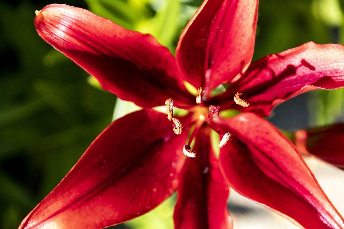 DianeKrauthamer's tweet photo. flowers in #KaloramaDC ๐ฎ https://t.co/x4rDIdNzVY
@ExposedDC @CapitalPhotog @capitalweather @FOtheStory @chesterlampkin #igdc #acreativedc #202creates #dc_spc #exposeddc #focusonthestory #fots2 https://t.co/icaQ51fwW1