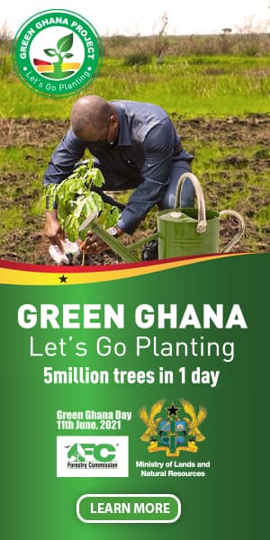 _Stevemensa's tweet photo. Trees provide nesting sites, food and shelter for our bird friends - also a good reason to join us on the 11th of June 2021, to plant 5 million trees in all 16 regions of the country. #letsgoplanting #greenghana https://t.co/RpCmLZAJGX