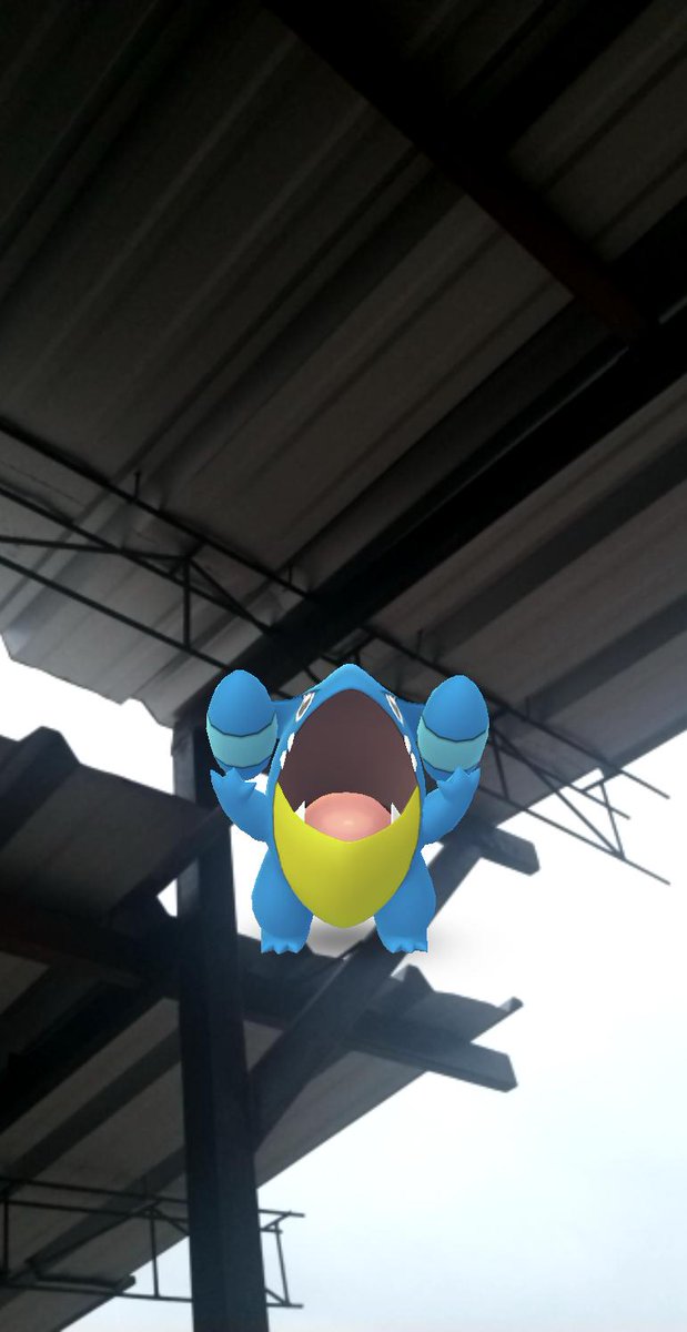 Shadoc301's tweet photo. @PoGoPeru @PeterDPeru @JoseduGames @LauritasolePGo @Zhecare @go_comunidad @garumox Amá creo que se metió un pokemón a la casa 😅😇🤣#ArmandoTaps #PoGoPeru https://t.co/LclYG6UkU1