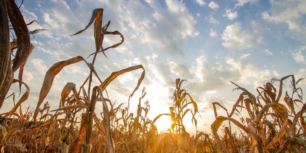 agrilyze tweet media