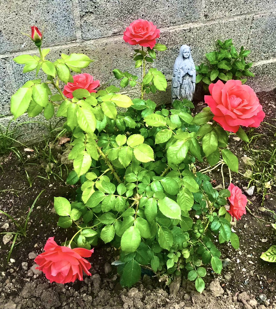 TonyLandscape's tweet image. 