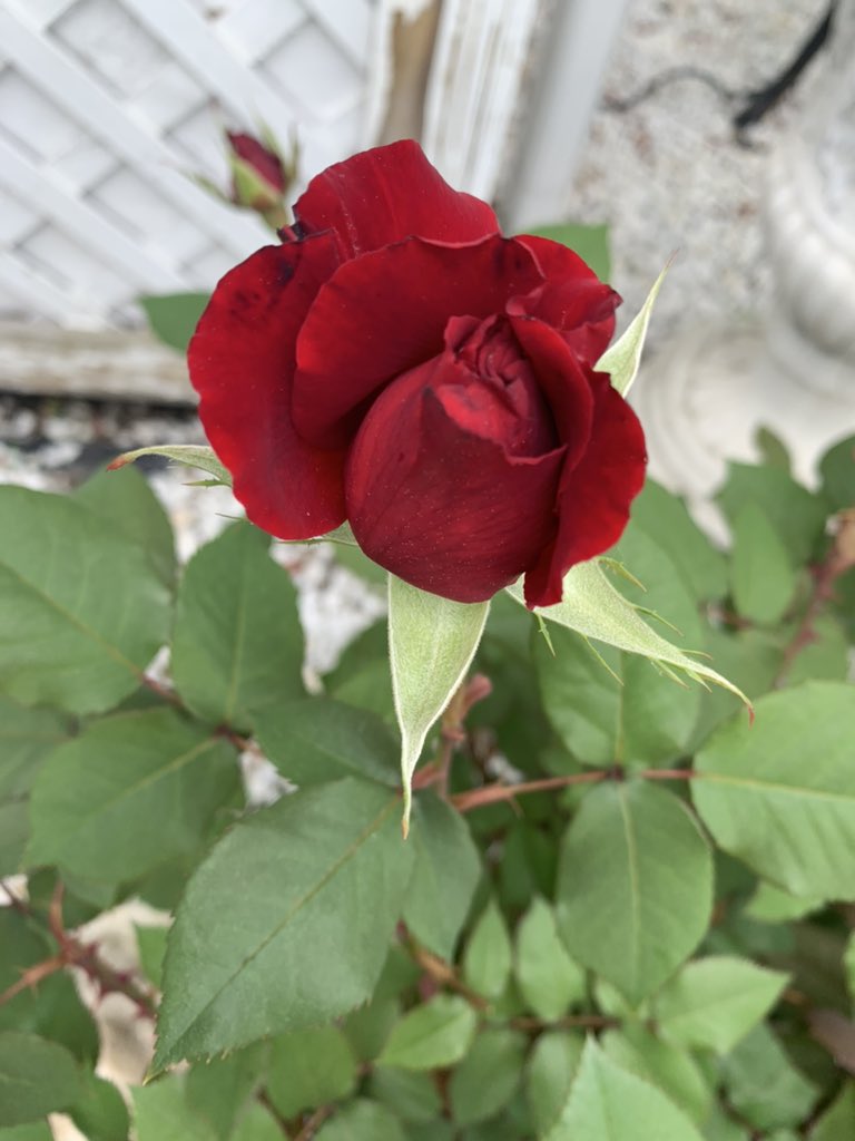 TonyLandscape's tweet image. 