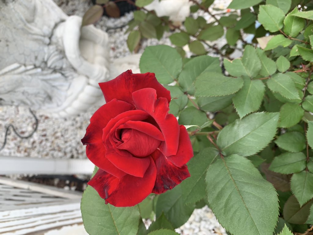 TonyLandscape's tweet image. 