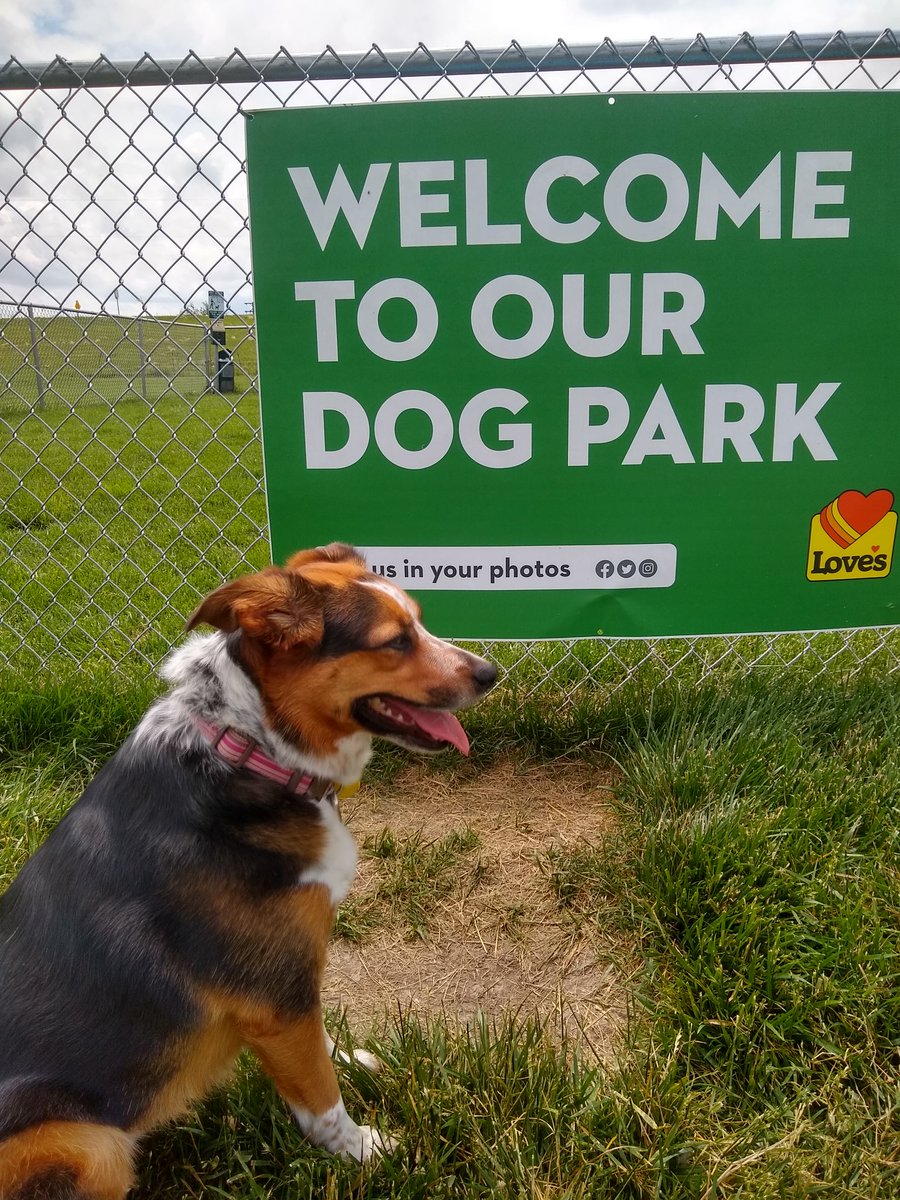 JoshG KC9UJS tweet media