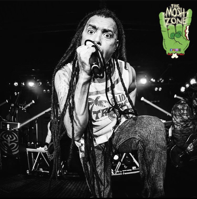 The Mosh Zone tweet media