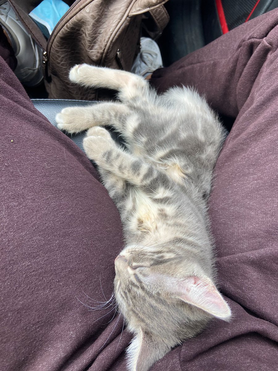 Coochie Cuddles 🥺