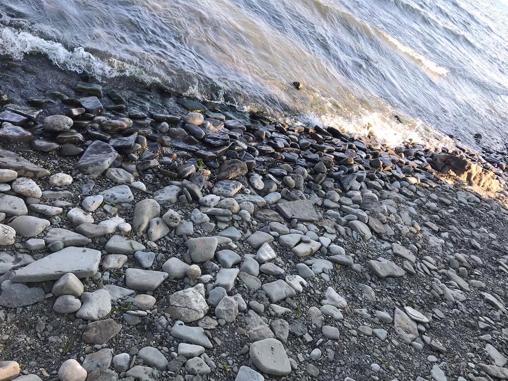 meanredslider's tweet photo. #nature #waves #rocks #shore https://t.co/5EtsnZge0x