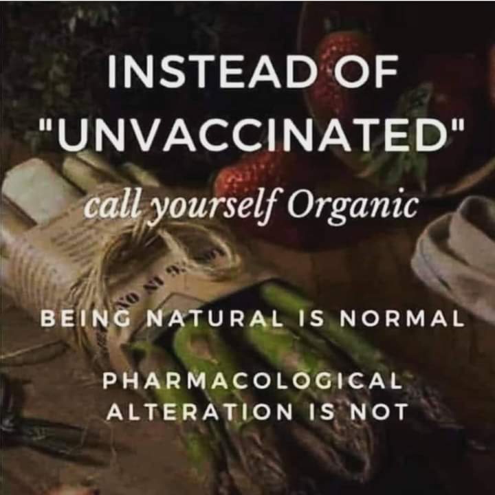 A Man For All Seasons🍃🍀🍁🍂🌲 tweet media