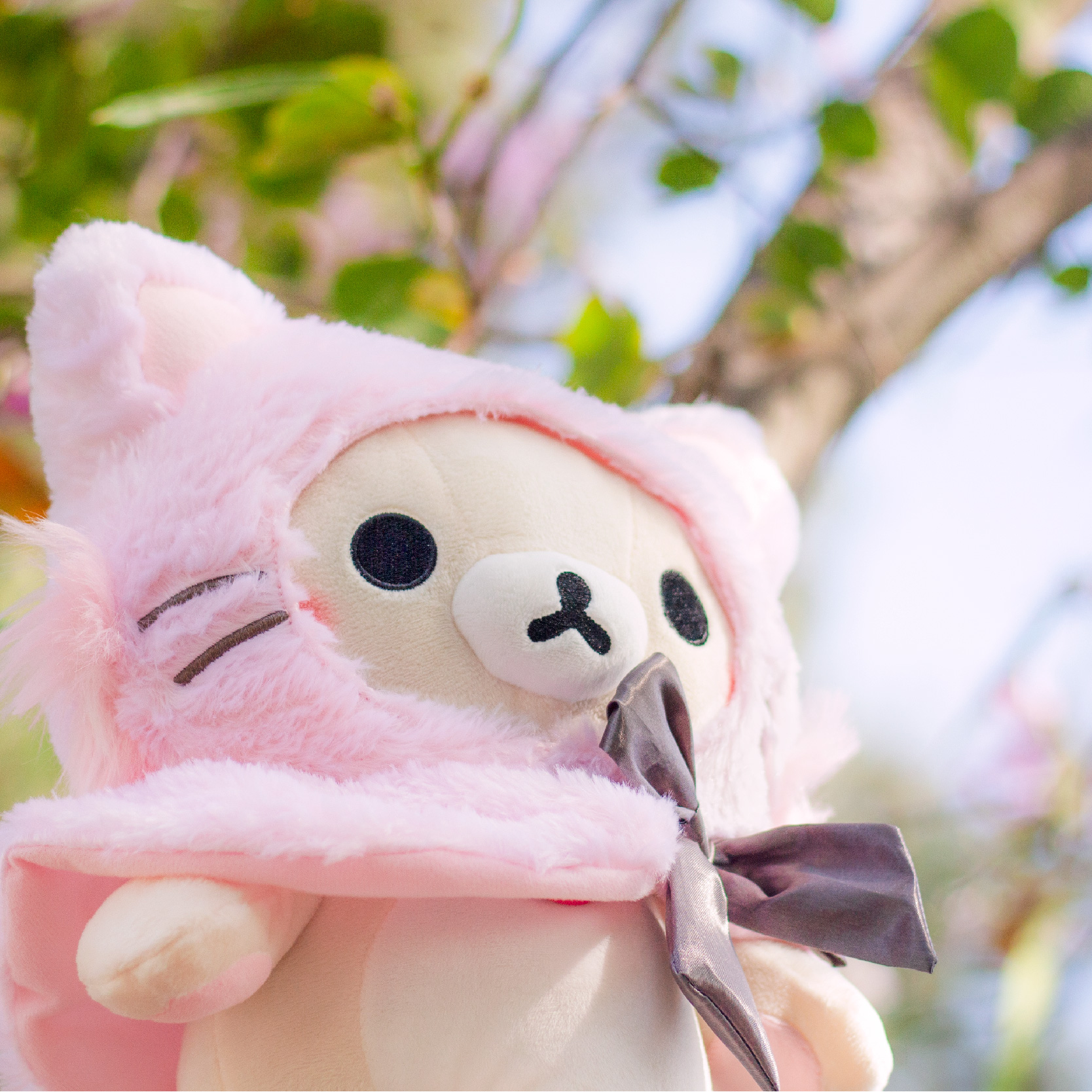 jellybeet on X Take some time to enjoy the sun and spring blooms with Korilakkuma Cat. This adorable pink and fluffy plush is available at https t bBWELRWu9H while supplies last