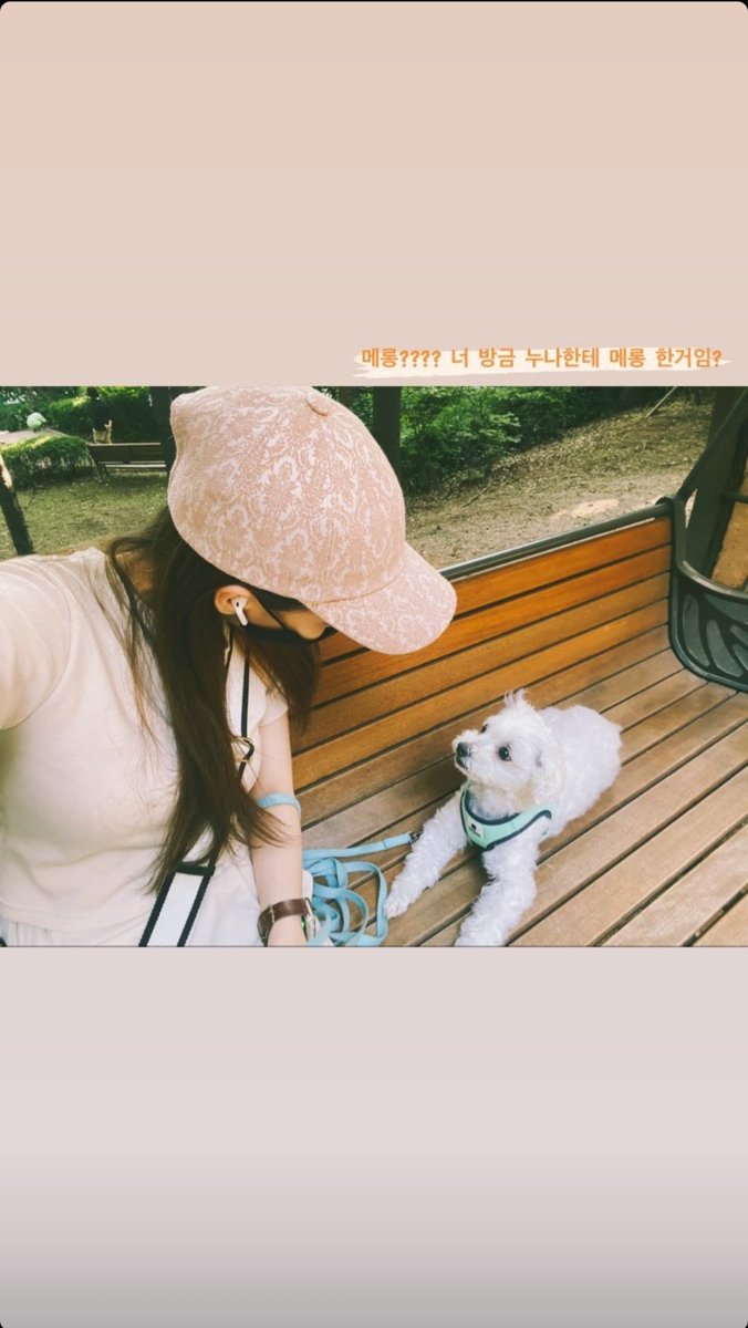ourjihee's tweet photo. 210606 홍지희배우님 인스타스토리 https://t.co/NR0wJ90qKK