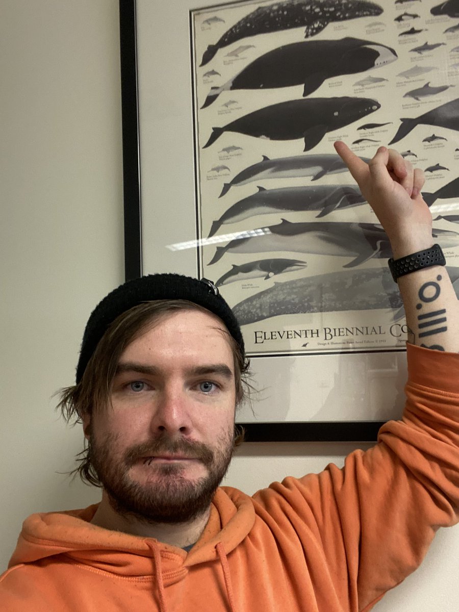 joshreed_mq's tweet image. This is the closest I get to see my study species, the North Atlantic right whale. I use computer models to understand changes in demography and abundance 🐳👨🏻‍💻 #MQHDRcontest @MQBiology