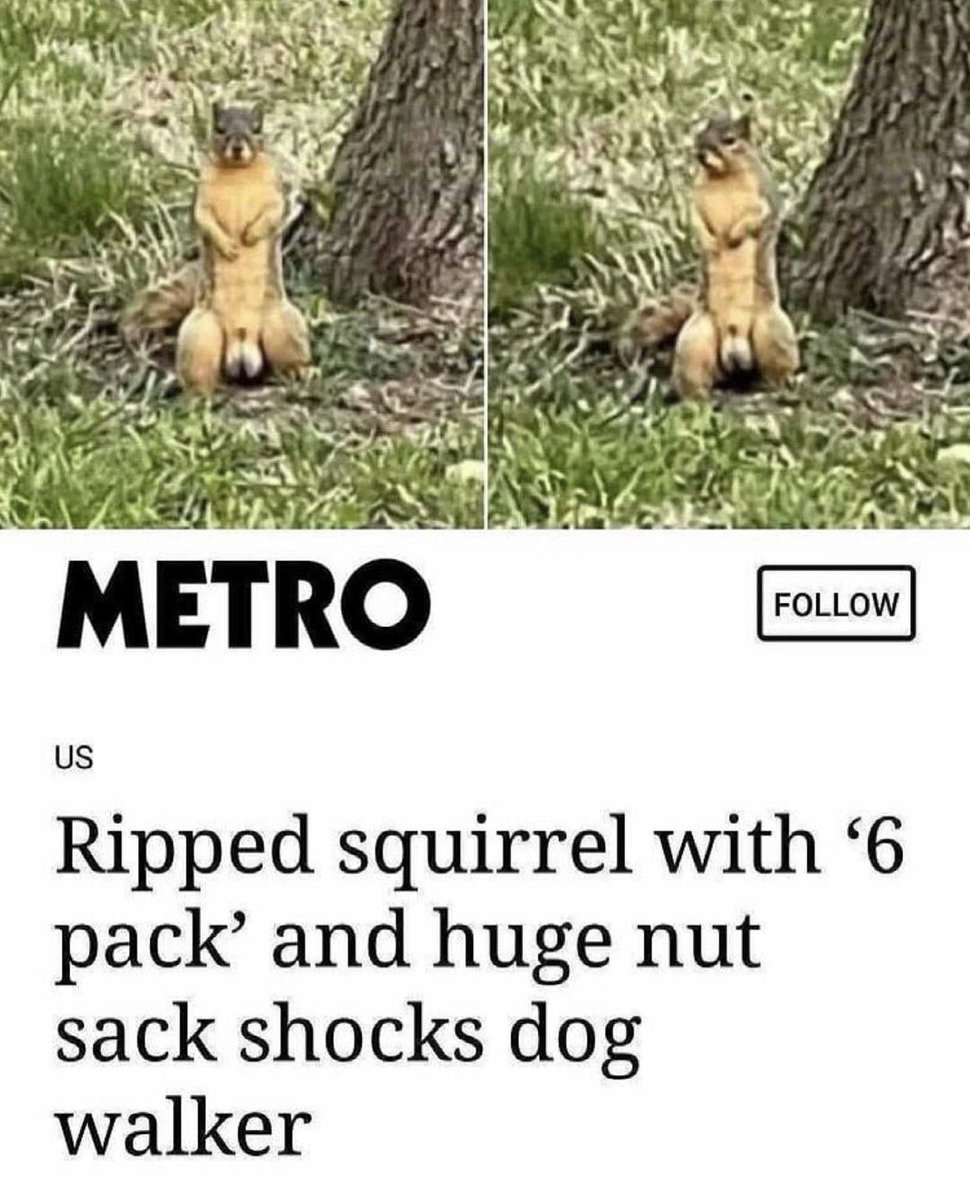 DILFSlayer10's tweet photo. He do be packin doe 🥜 https://t.co/a9qzN3i3ls