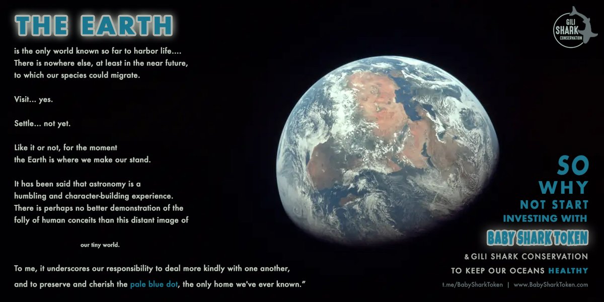 <a href="/sampepper/">Sam Pepper</a> @superbid_io $SHARK!! babysharktoken.com! On CMC, CoinGecko, and audited by Techrate. Our first listing is on CoinTiger on June 8 and first ocean dive on July 6! Partnership with the Gili Shark Conservation, donation of $10,000! Join our discord and come chitchat!