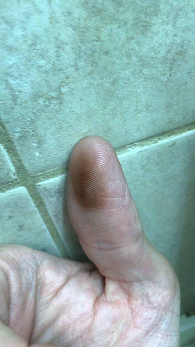 robzillaitsback's tweet image. ¡MEXICO! 🇲🇽