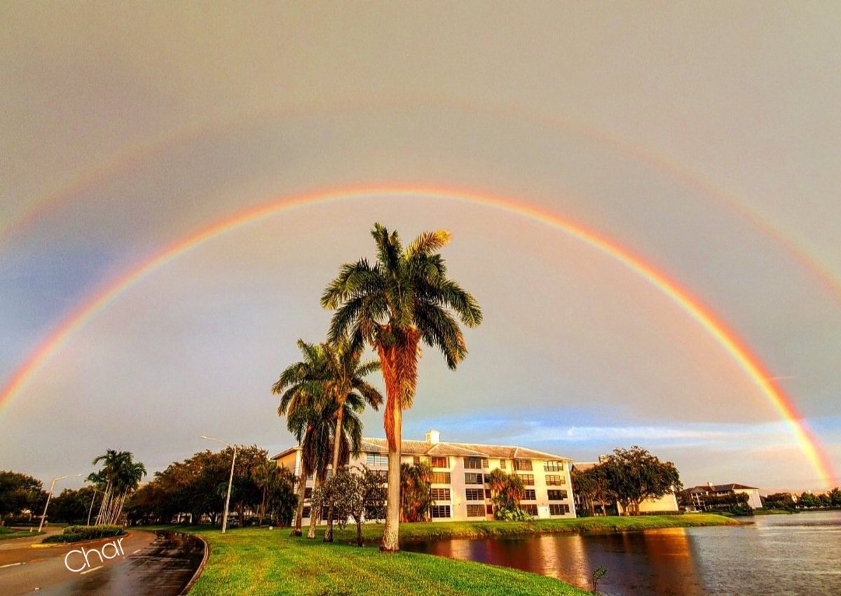 'Paint with all the colors of the wind' 🌈🌴🌈🌴🌈🌴🌈🌴🌈🌴🌈