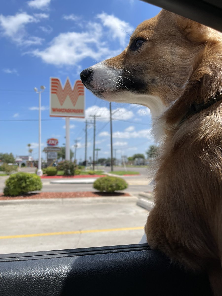 SortOfBlu's tweet photo. Shoutouts to @Whataburger https://t.co/G32ieY7bzA